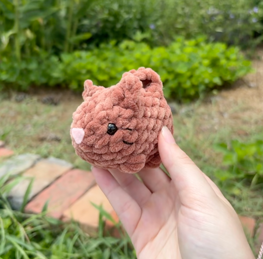 Small Cat Plushie
